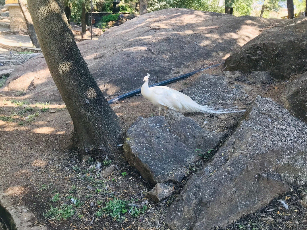 Parque de los Pinos景点图片