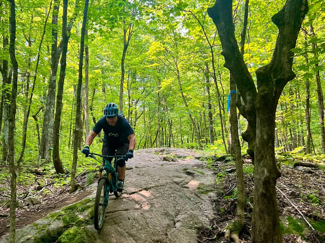 Domaine Kanawe-Cantley必去景点