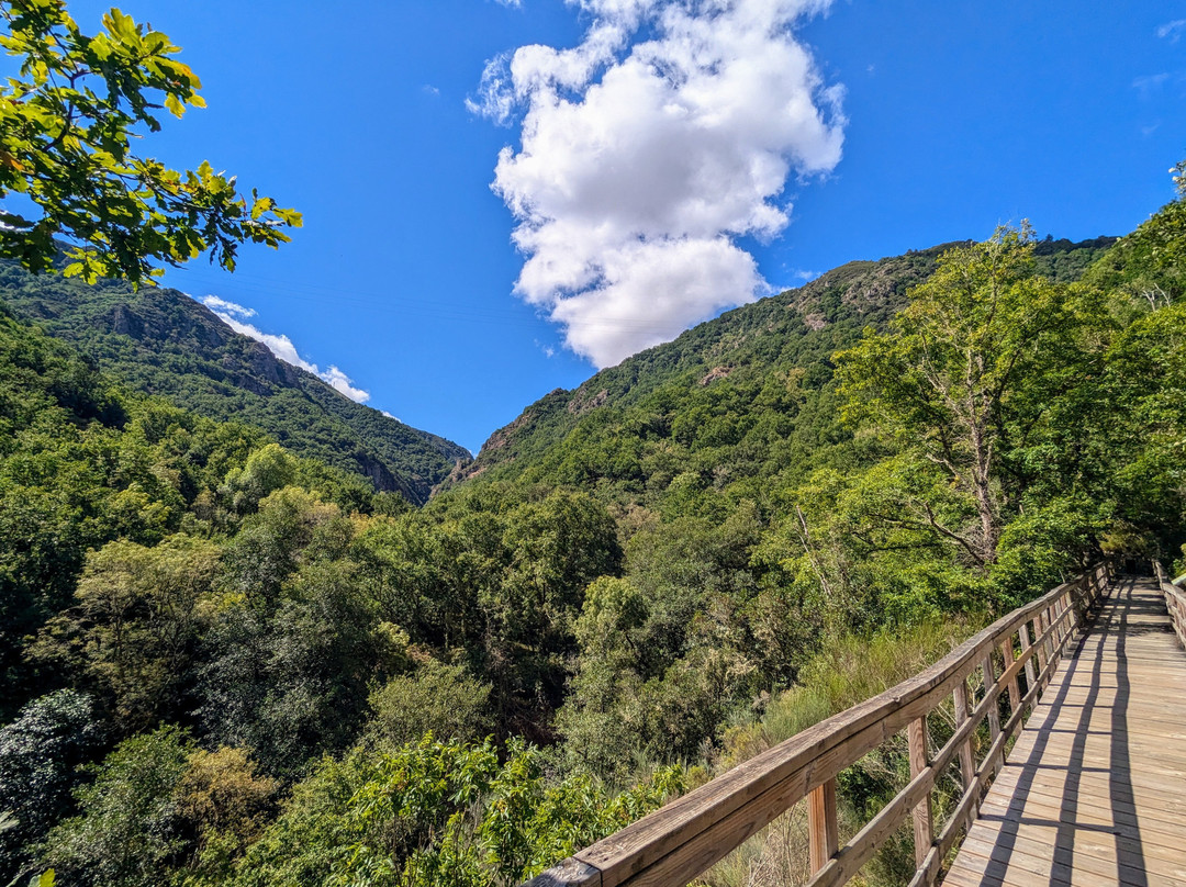 Pasarelas Del Río Mao - Ribeira Sacra景点图片