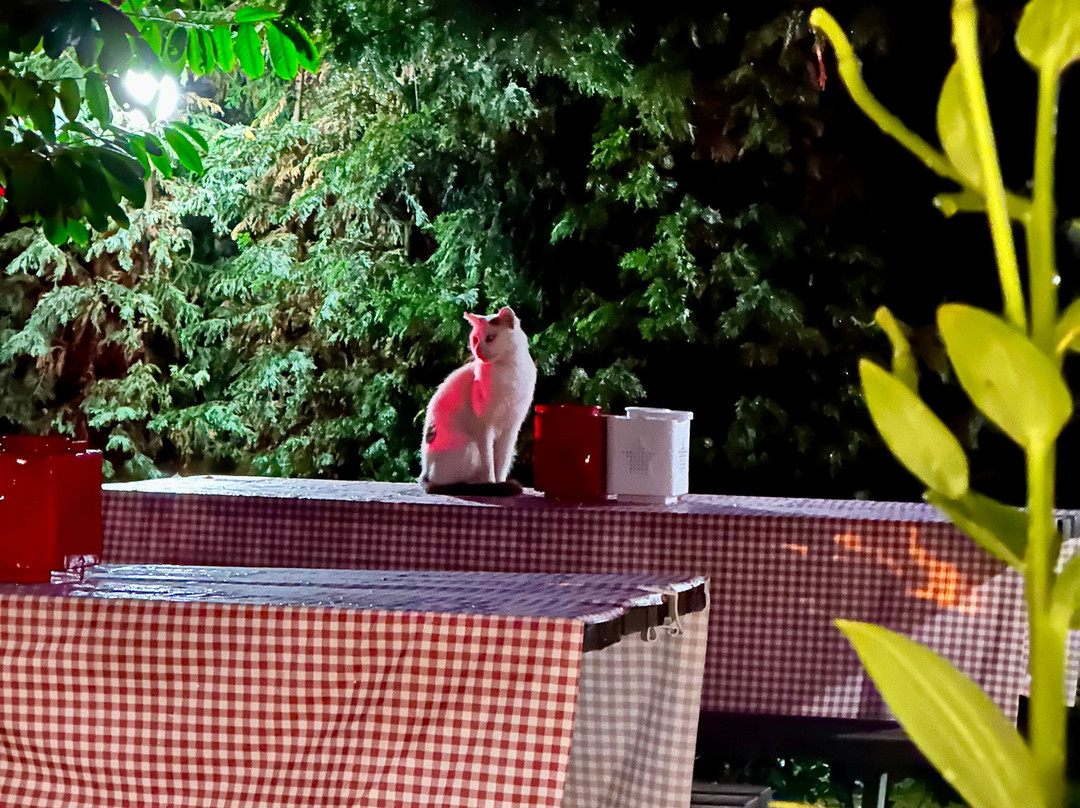 Kadifeli Konak Boutique Hotel主图