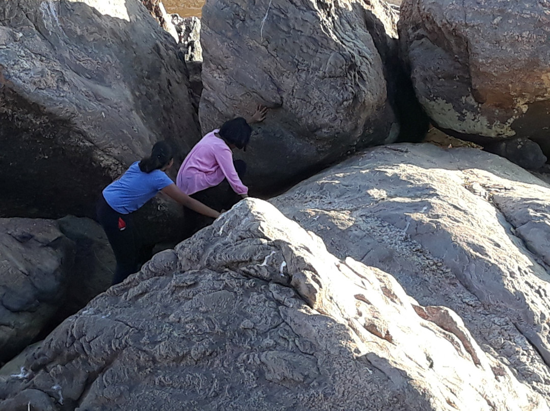 Sterling Kanha主图