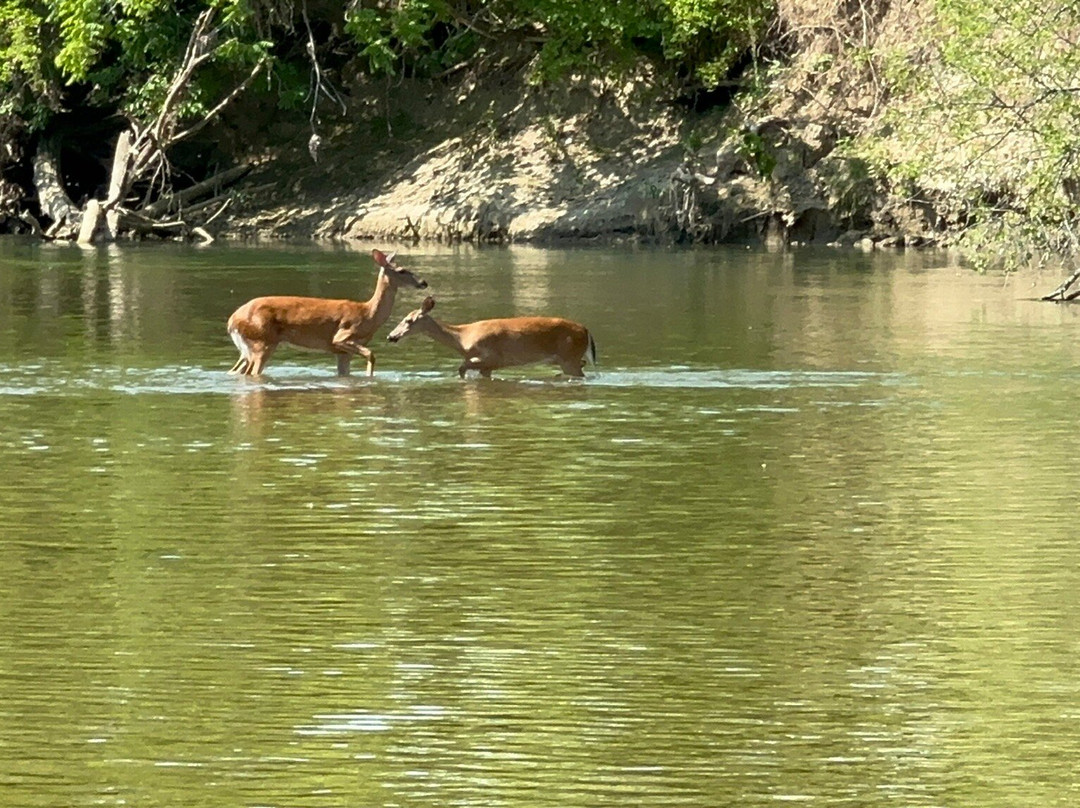 Green Acres Kayak Rental-Harrison必去景点