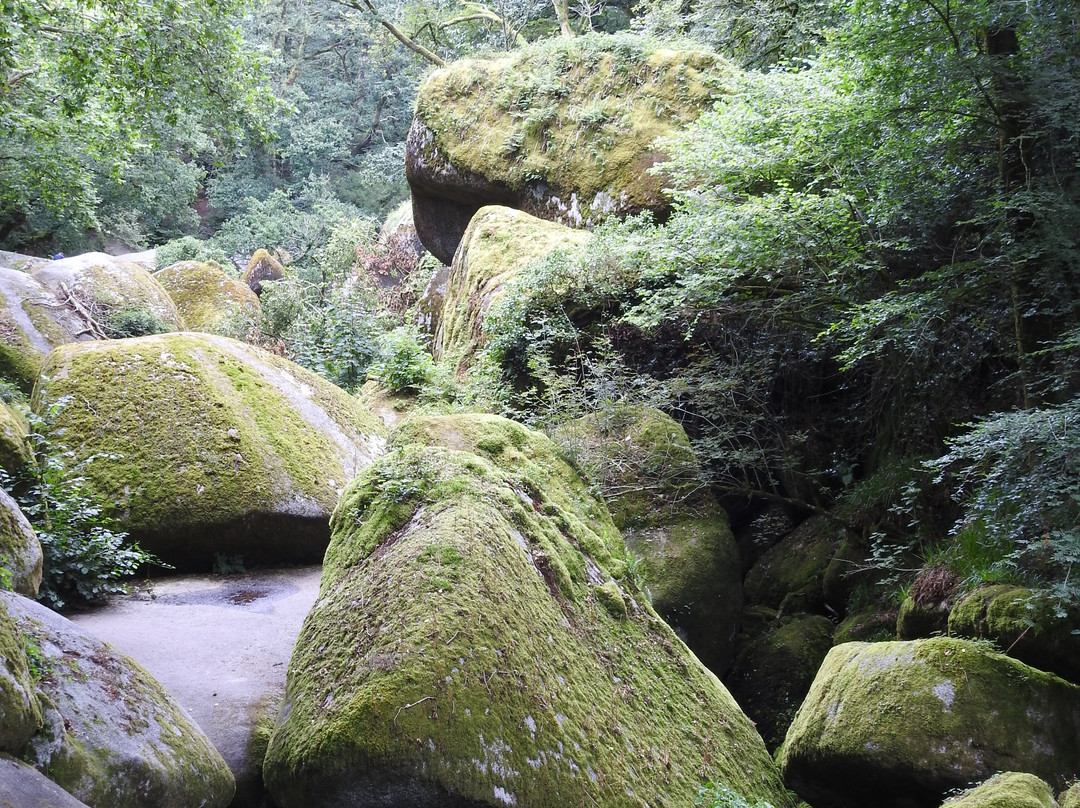 Foret de Huelgoat-Huelgoat必去景点