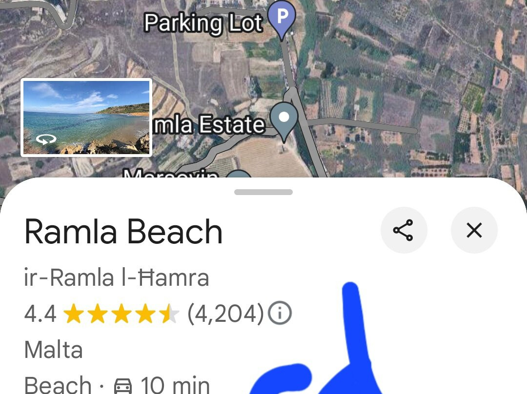 Murella Living主图