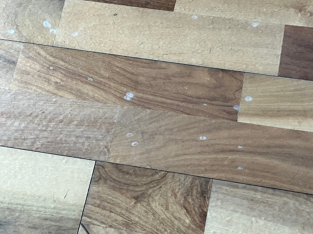 阿斯科纳酒店主图