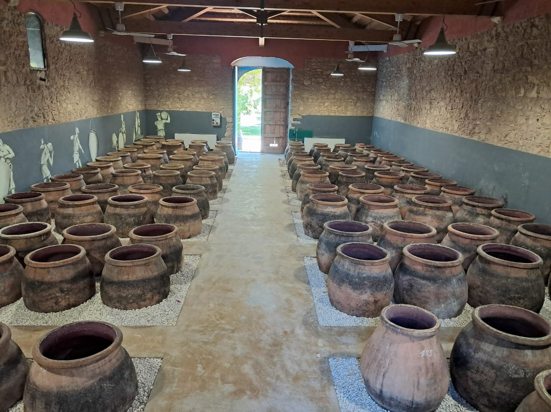 Azienda Agricola COS s.s.景点图片