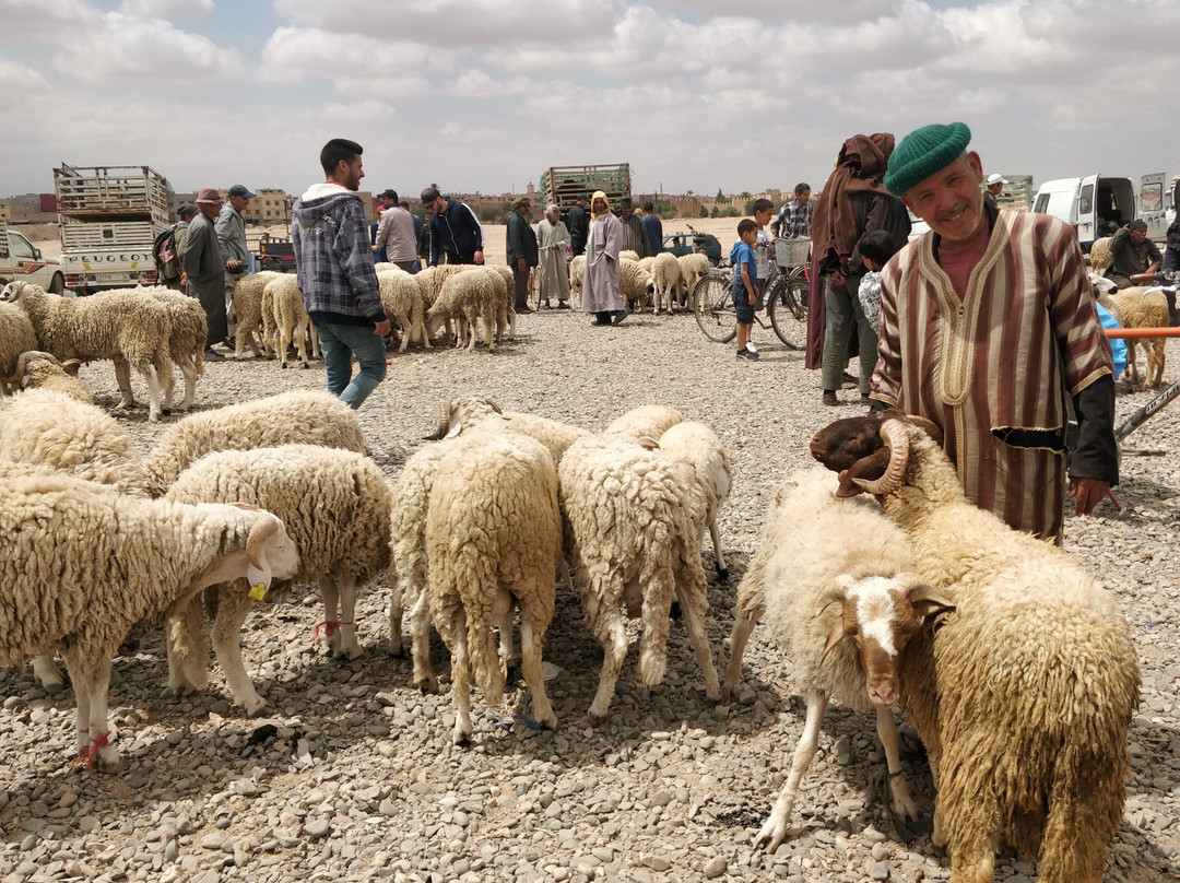 Sunday Souk-塔鲁丹特必去景点