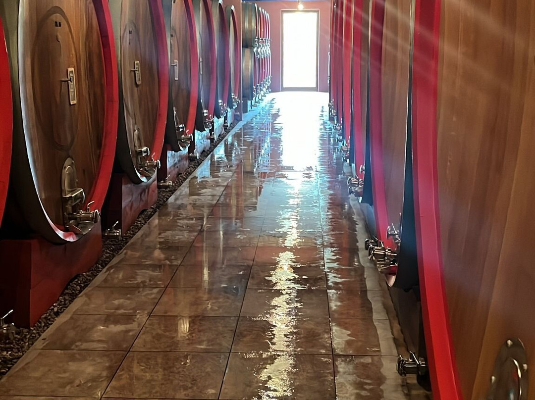 SORDO GIOVANNI Azienda Agricola-Castiglione Falletto必去景点