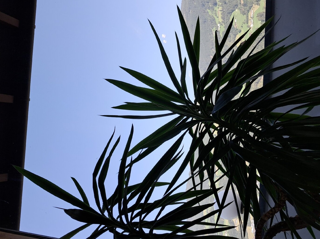 Hotel Malerhaus主图