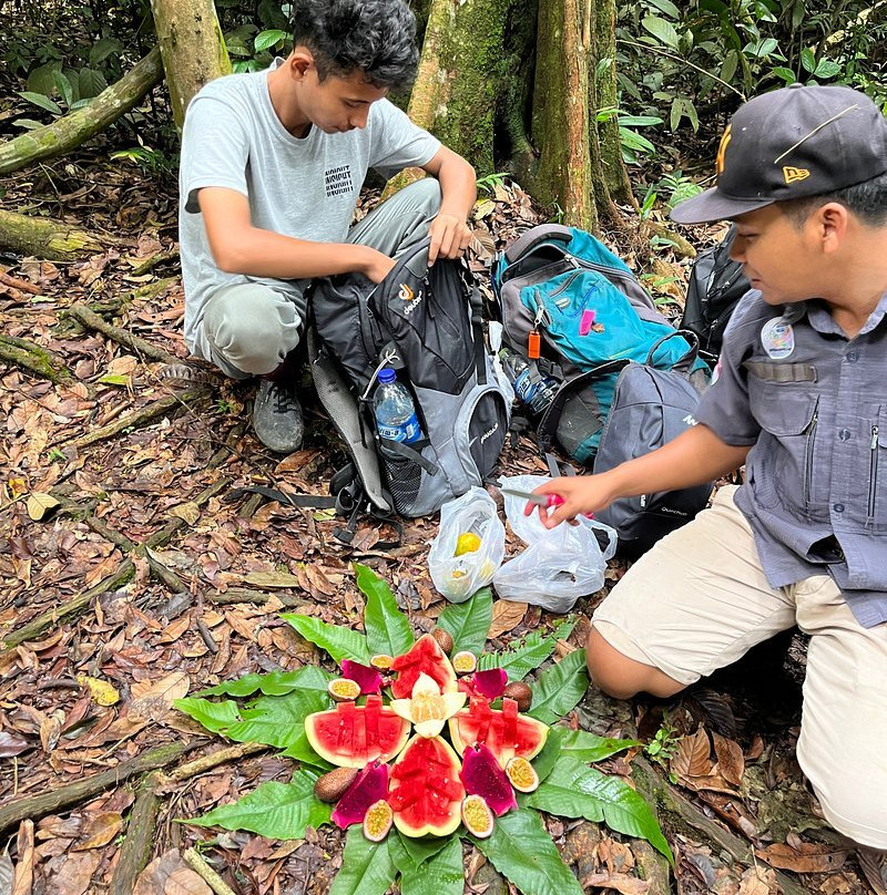 Bukit Lawang Travel-武吉拉旺必去景点