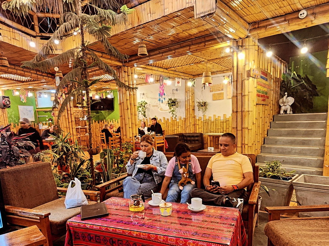 La Casa de Bamboo主图