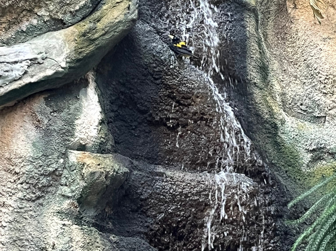 亨利维拉斯动物园-麦迪逊必去景点