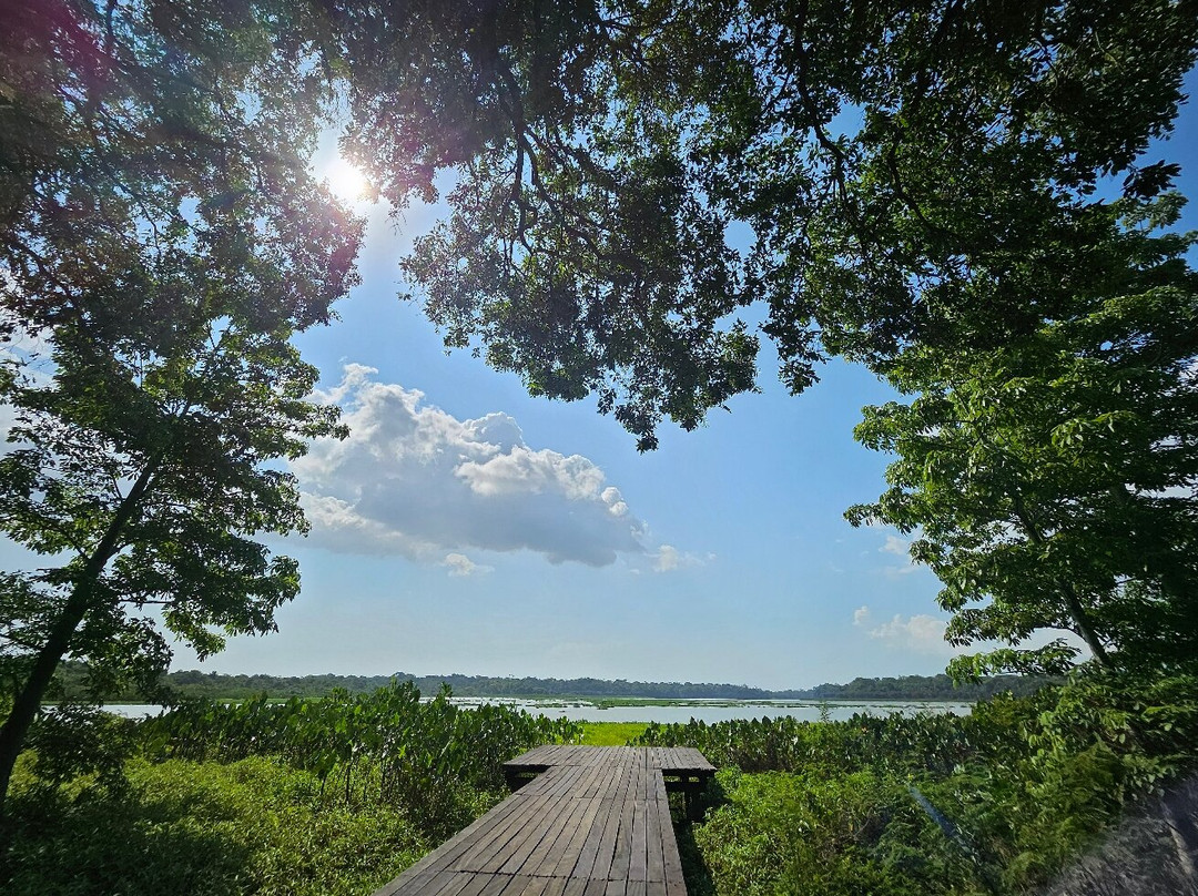 Parque Estadual do Utinga-贝伦必去景点