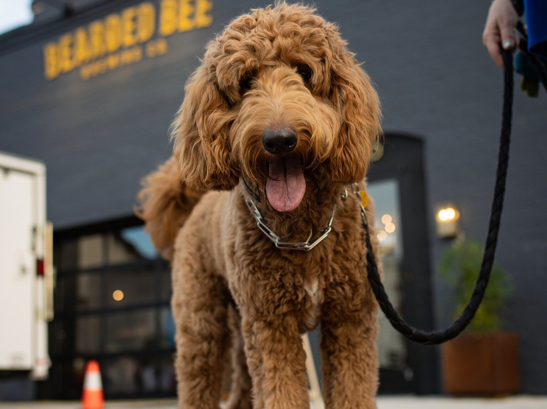 Bearded Bee Brewing Co.-Wendell必去景点