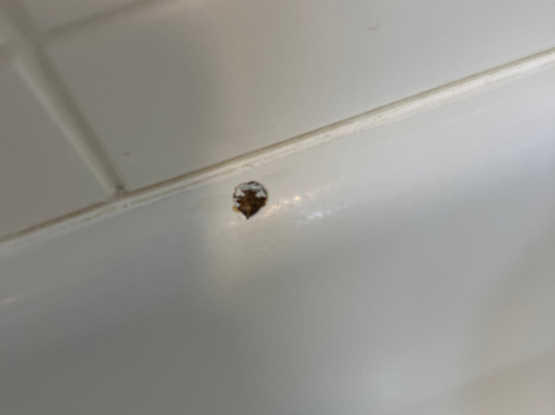 Best Western Plus Safford主图