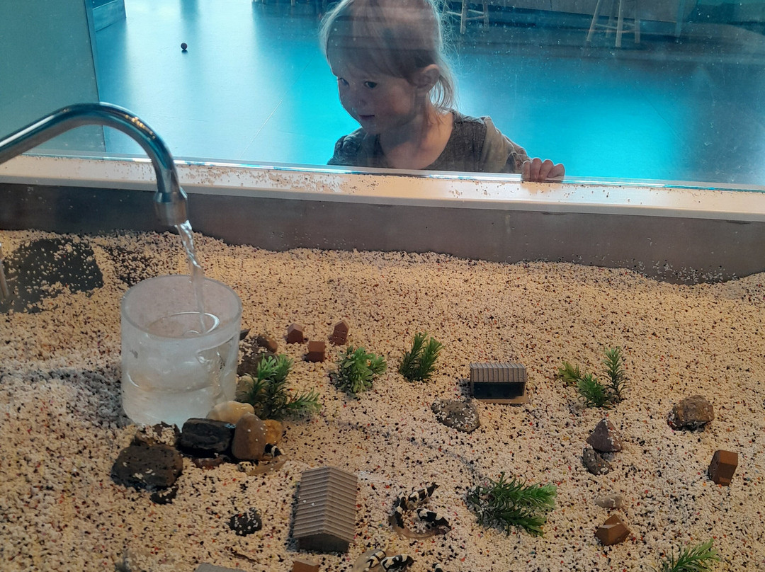 尚普兰湖回声莱希中心-伯灵顿必去景点