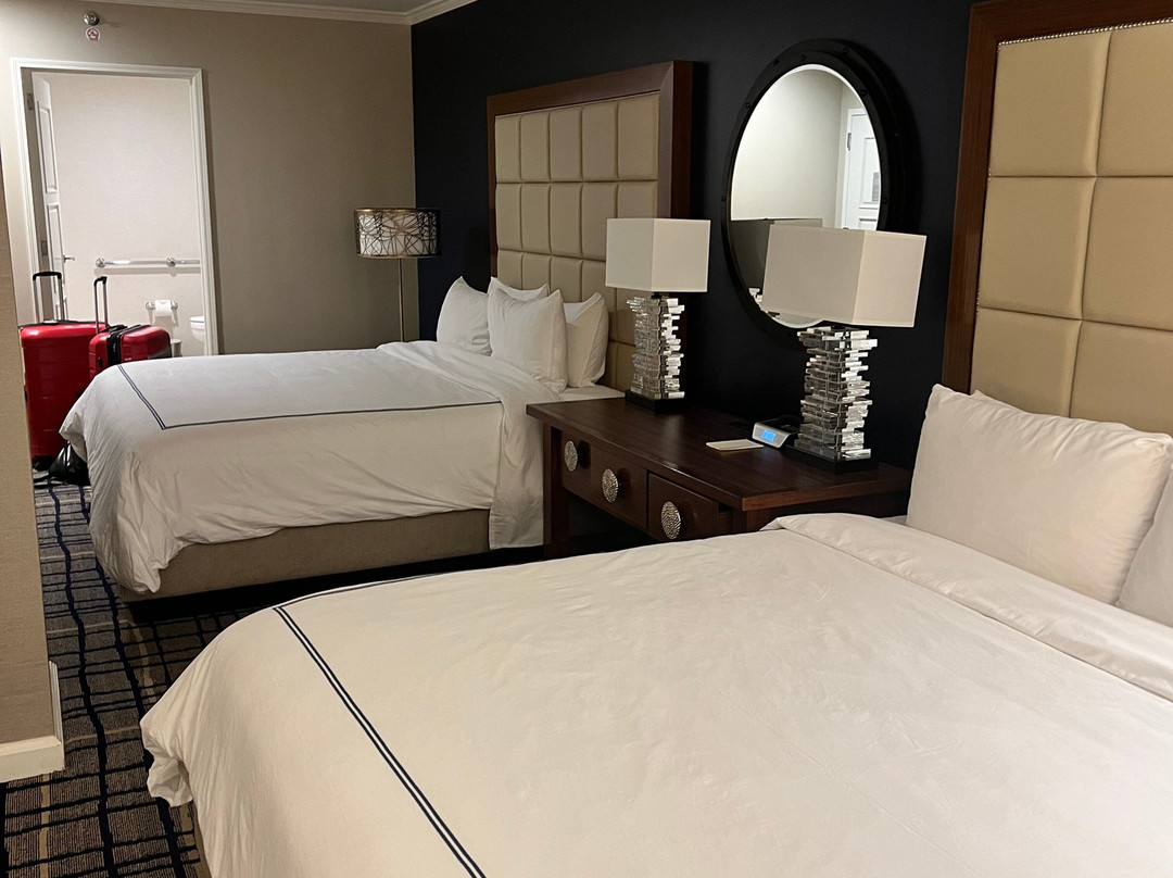 阿道弗斯酒店主图