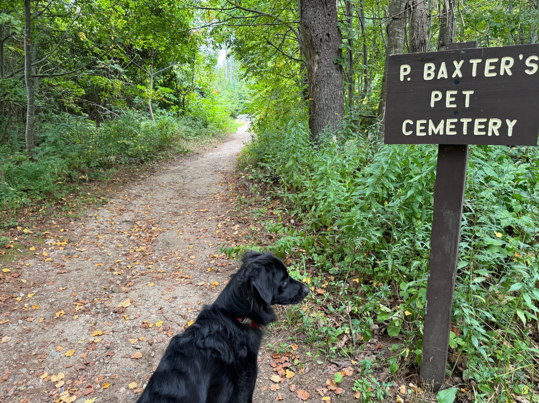 Mackworth Island State Park景点图片