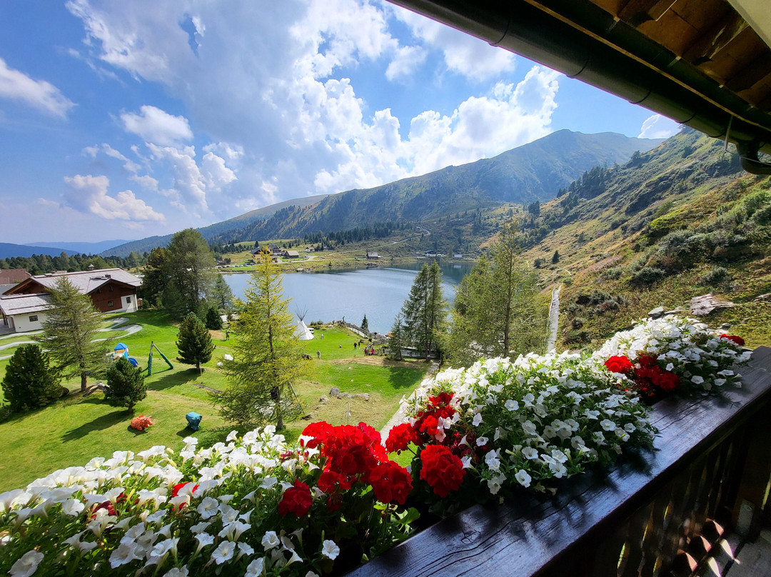 Heidi-Hotel Falkertsee主图