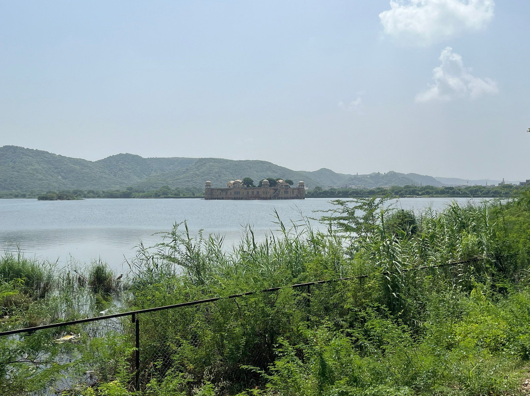Man Sagar Lake-斋蒲尔必去景点