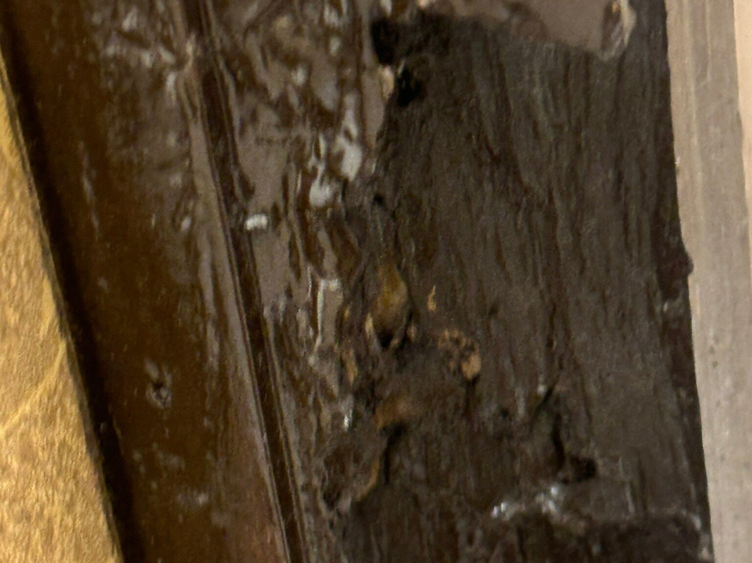 Gulmohar Sariska Resort主图