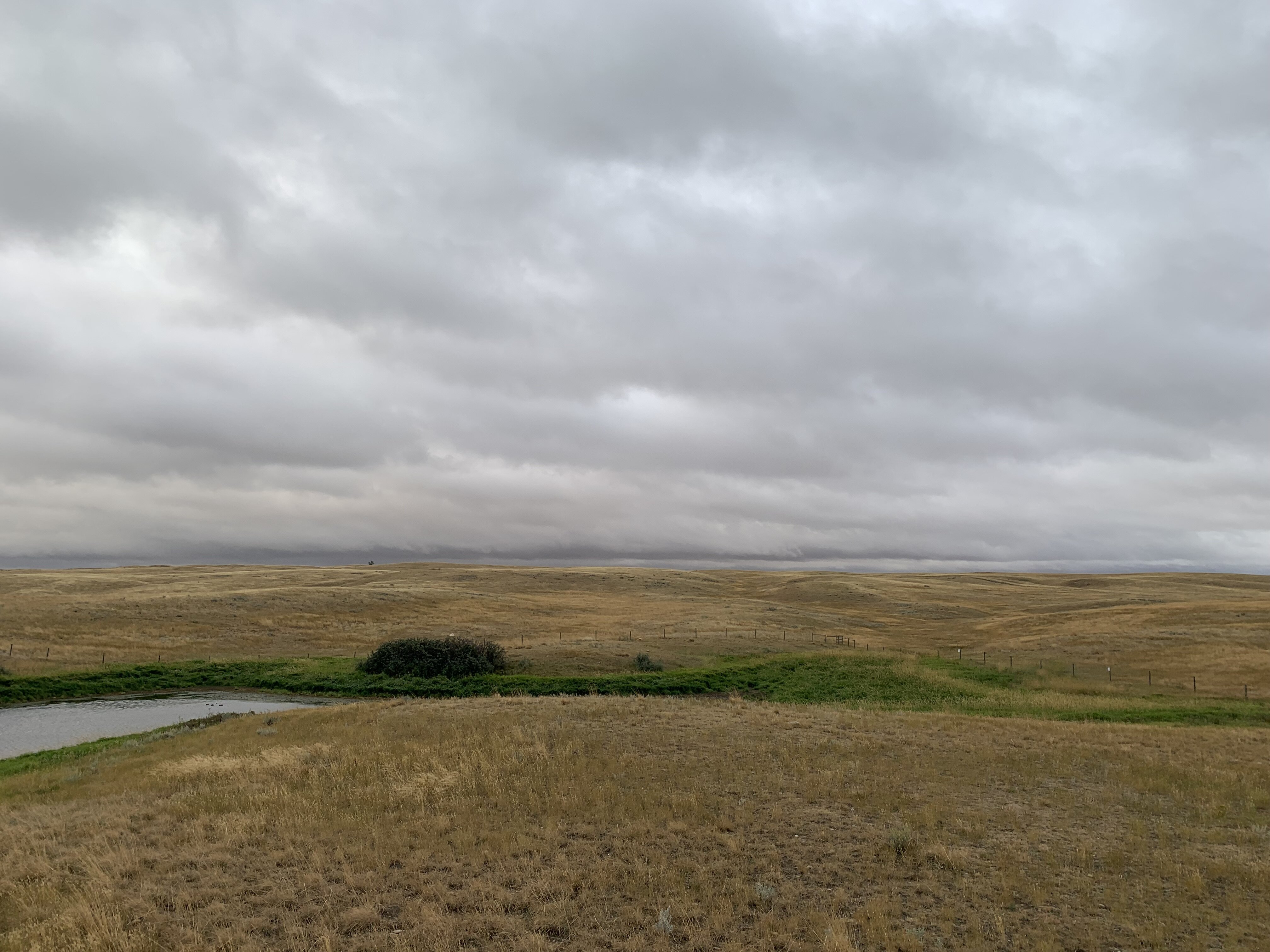 The Crossing at Grasslands-酒店景观