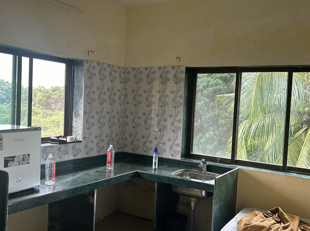 Vinyasa Treeland Saphale主图