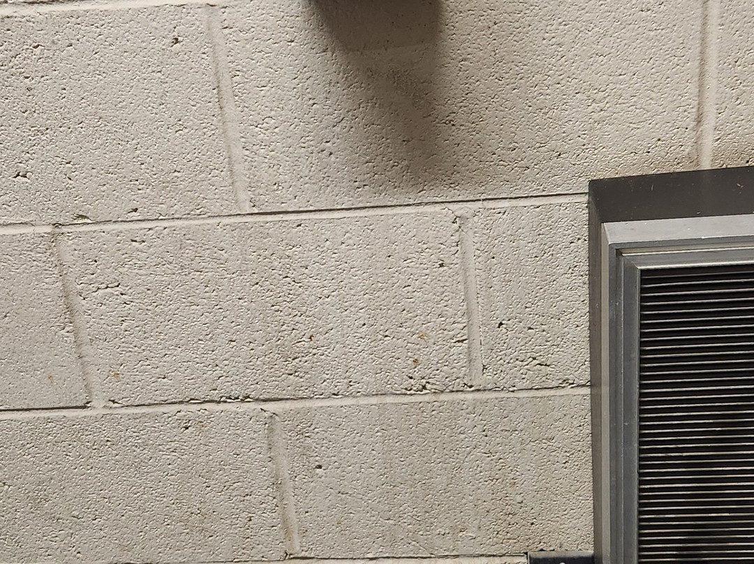 Candlewood Suites Colonial Heights-Ft Lee by IHG主图