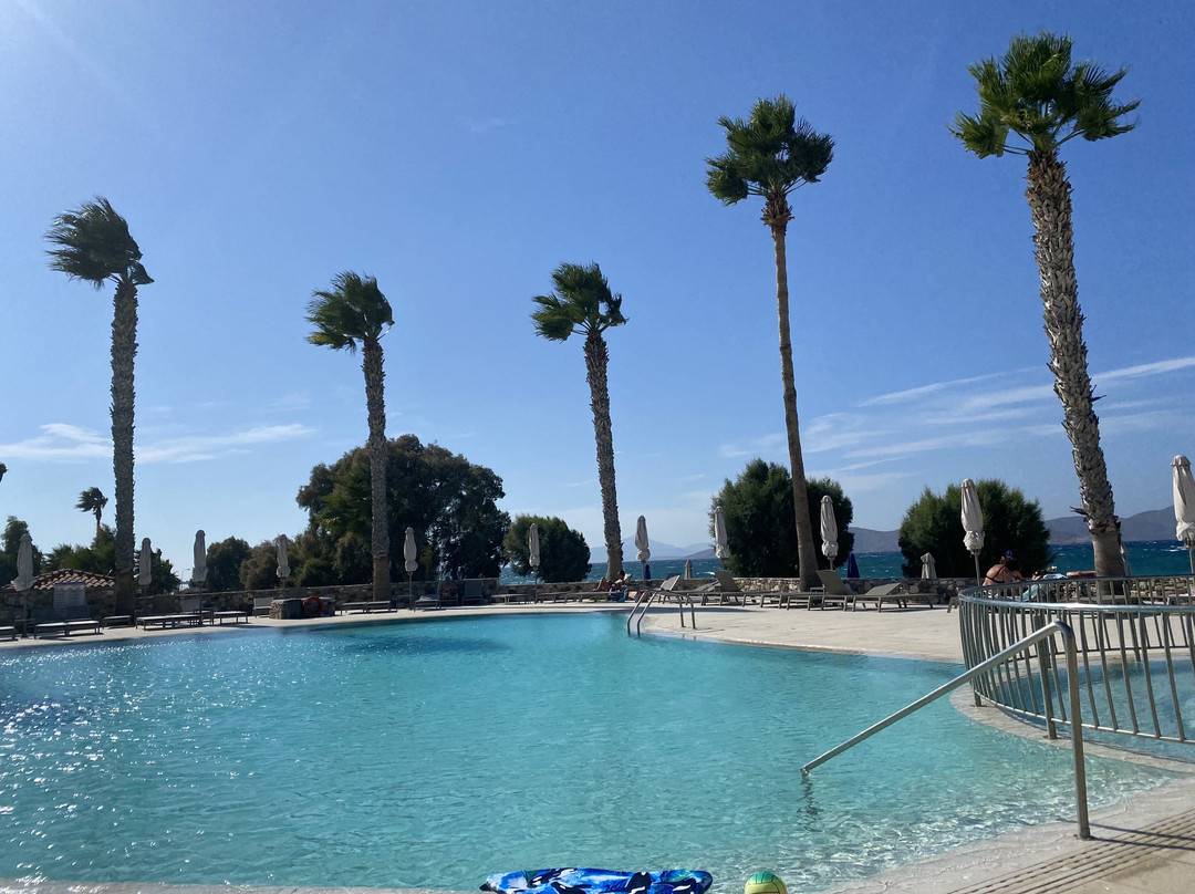 Irina Beach Hotel主图