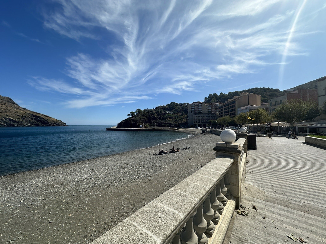 Platja De Portbou景点图片