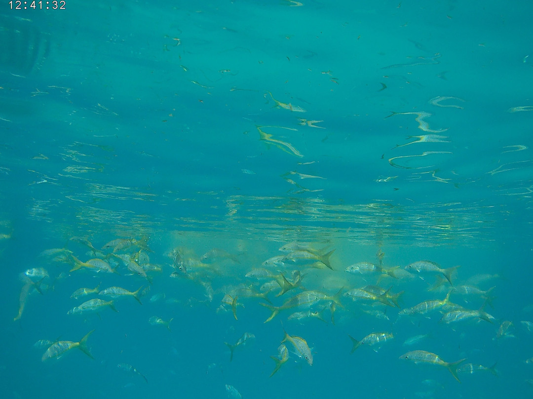 Nothing Better Rentals, LLC-Cudjoe Key必去景点