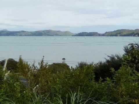 Harbour View Motel-官方