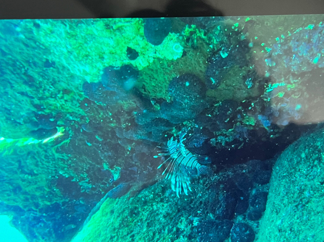 Mykonos Diving Center景点图片