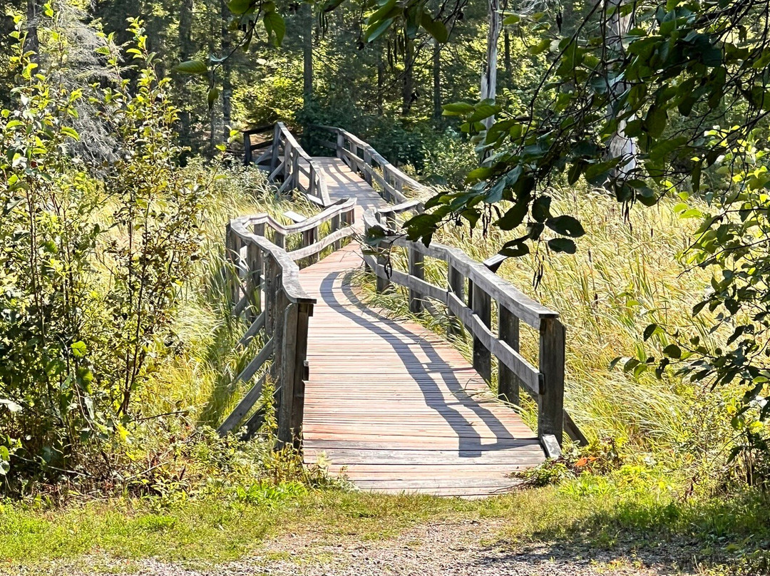 Mashkinonje Provincial Park景点图片