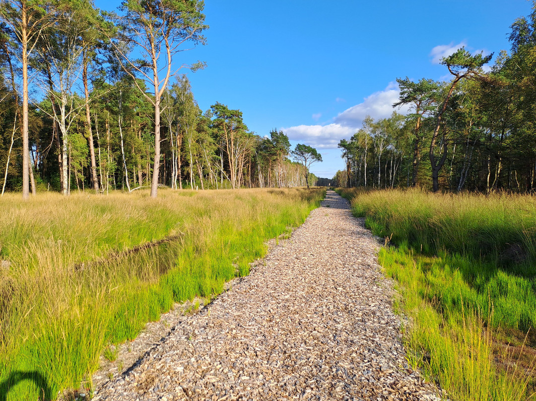 Bissendorfer Moor-比森多夫必去景点