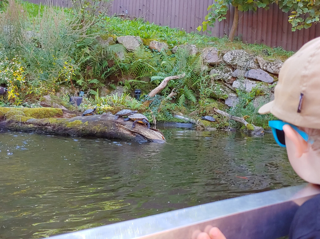 Schwarzwaldzoo Waldkirch景点图片