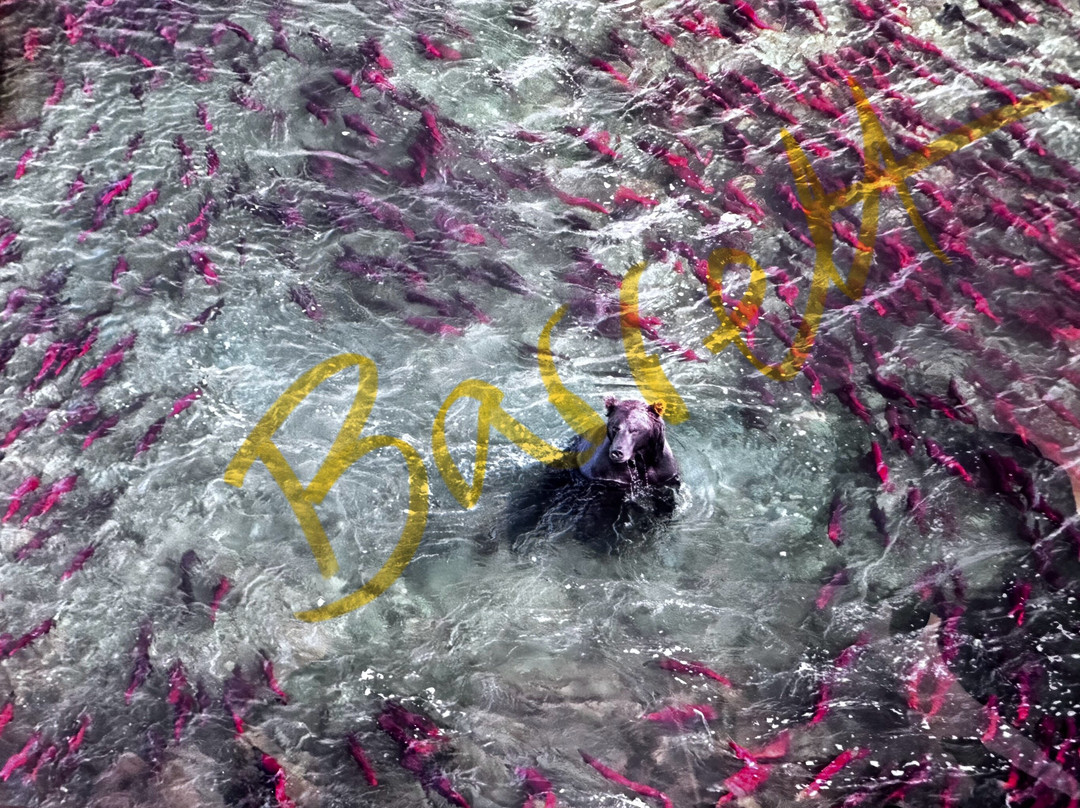 BearHead Photography Gallery-史凯威必去景点