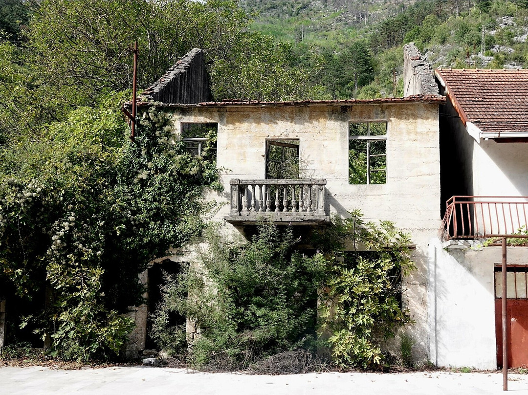 Hotel S Family Jovicevic主图