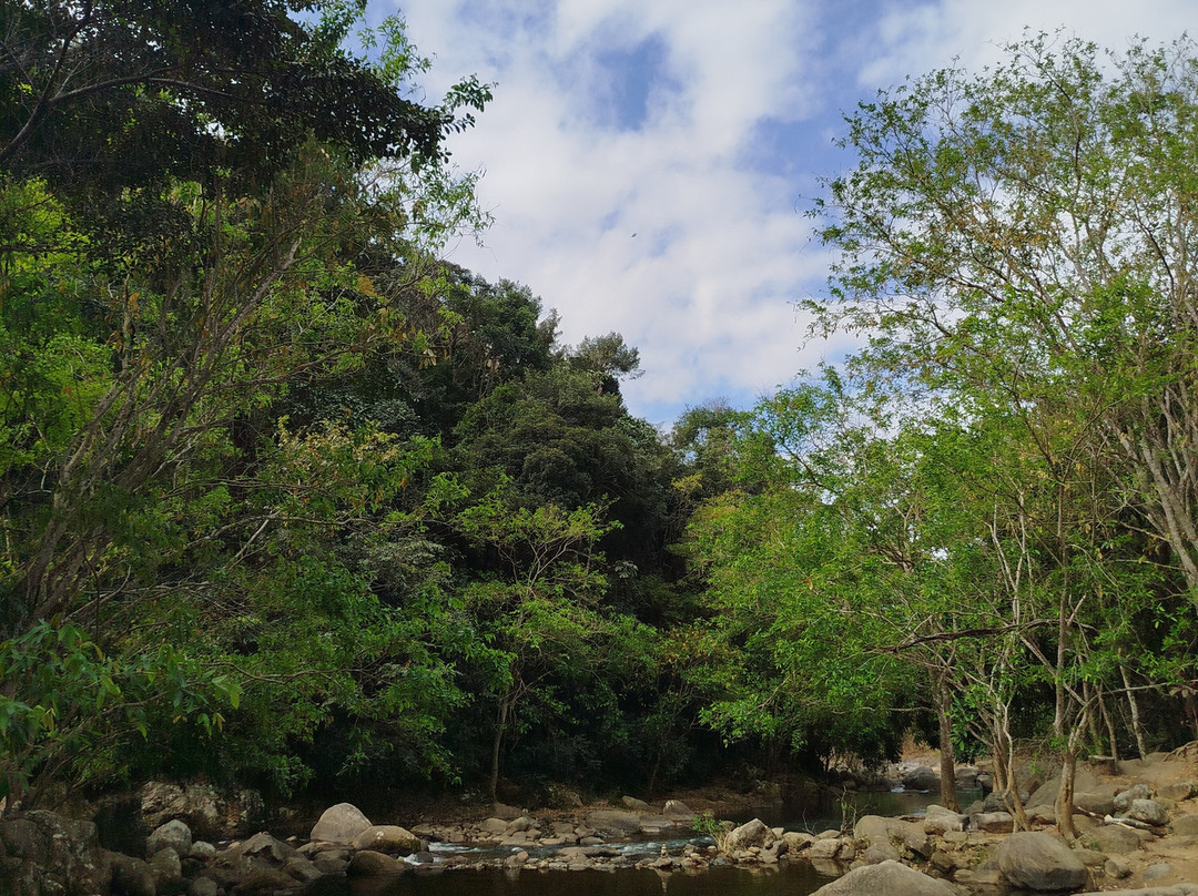 Amorosa Waterfall景点图片