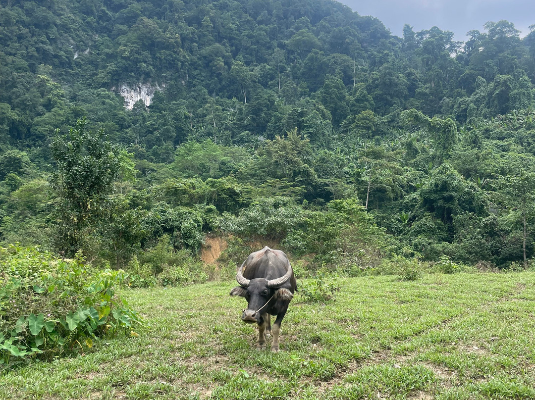 Green Land Tour景点图片