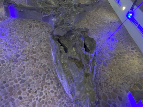 The Colombian Way Bogota City Tour-波哥大必去景点