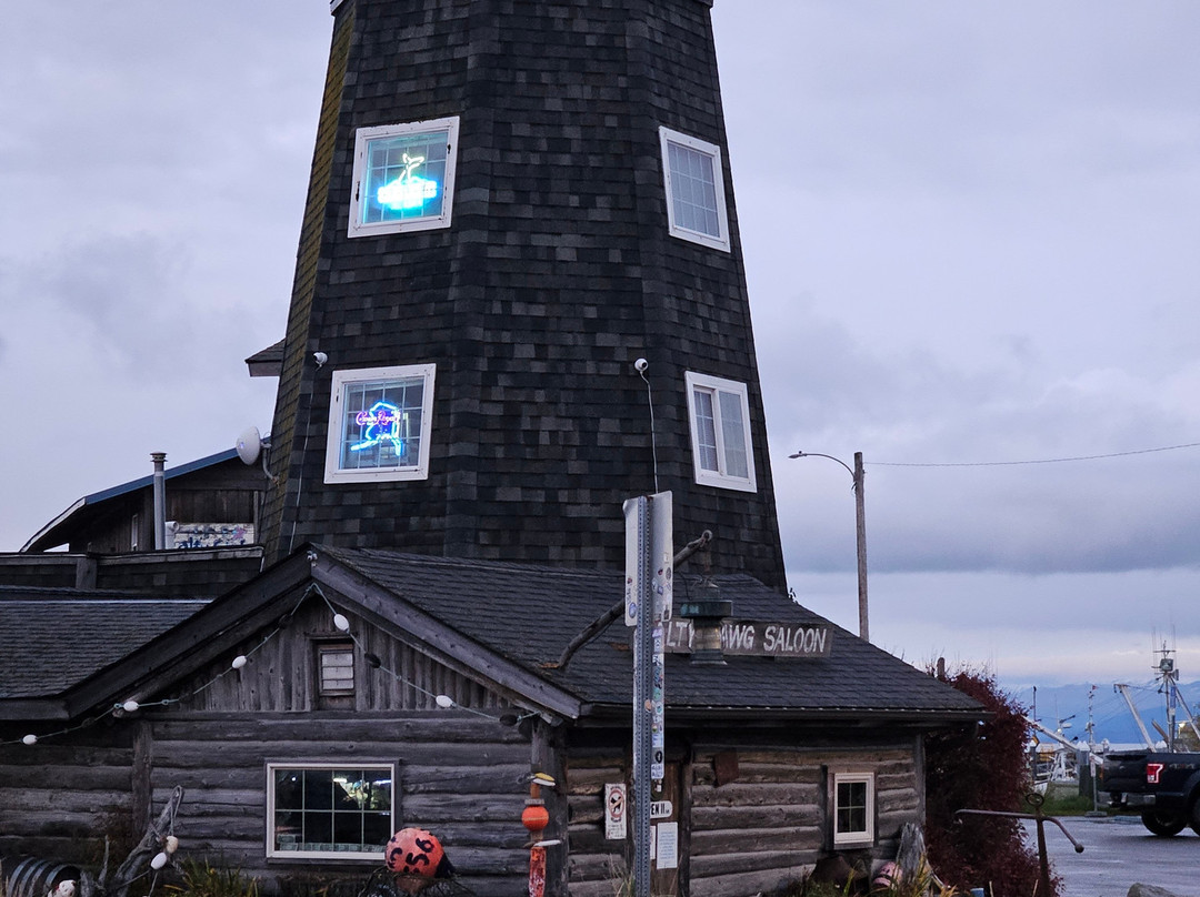 Salty Dawg Saloon-荷马必去景点