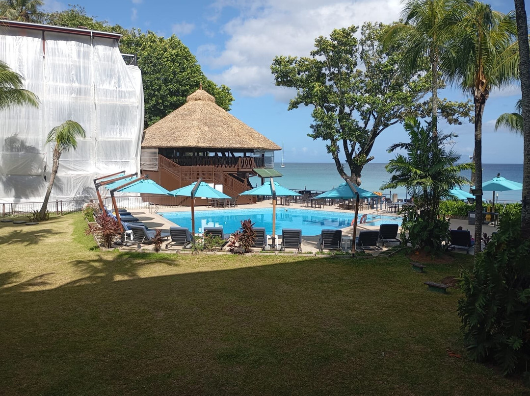 珊瑚斯特兰德明智选择主图