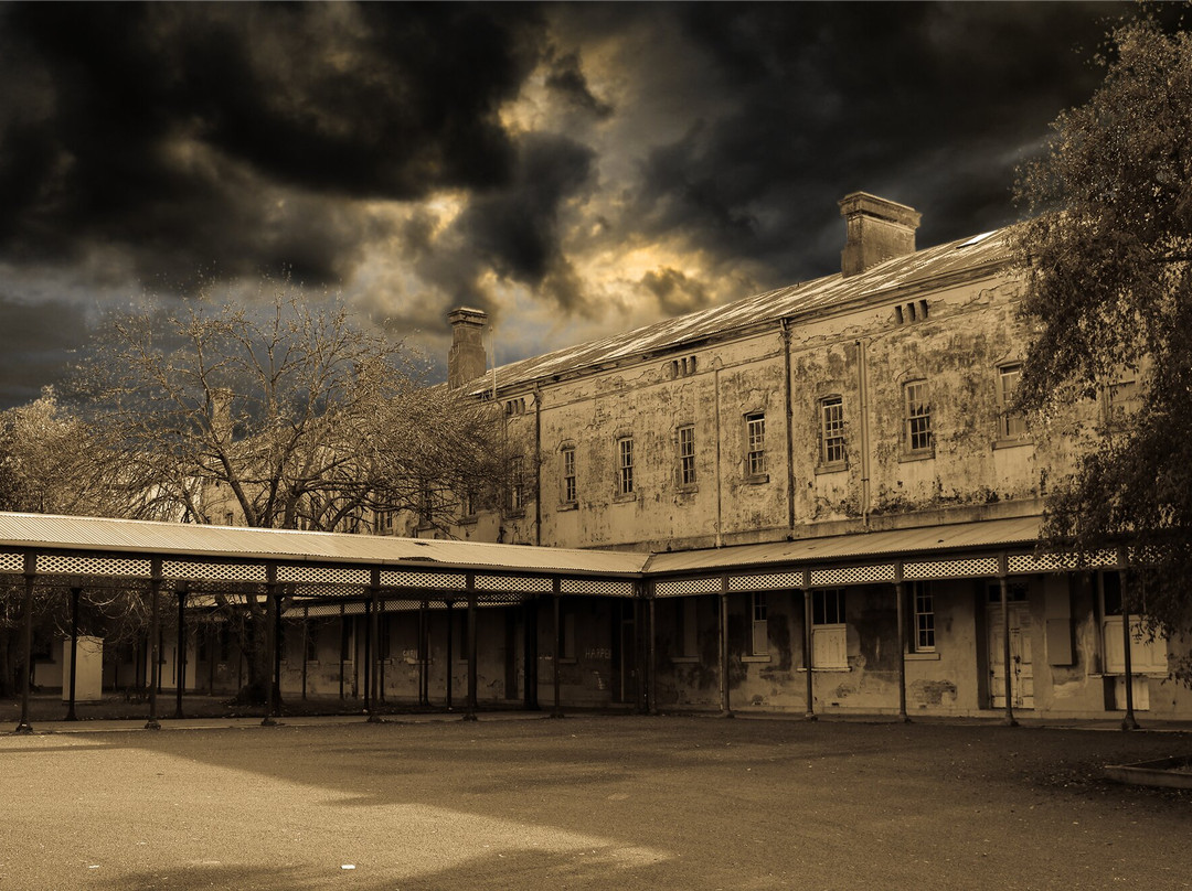 Asylum Ghost Tours-比奇沃思必去景点