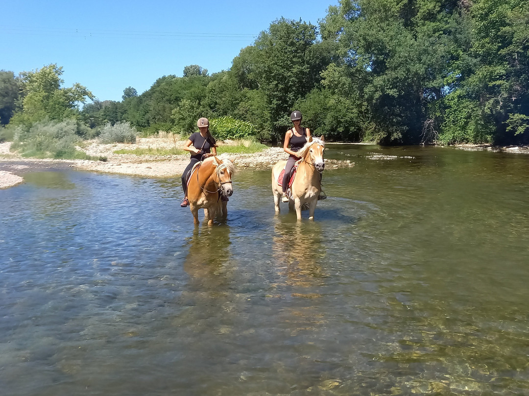 Equitation Chavetourte