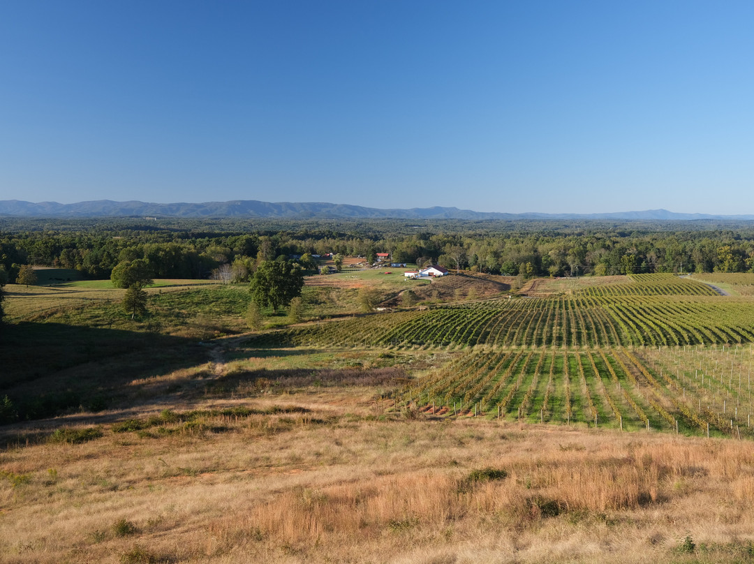 Dobbins Creek Vineyards景点图片
