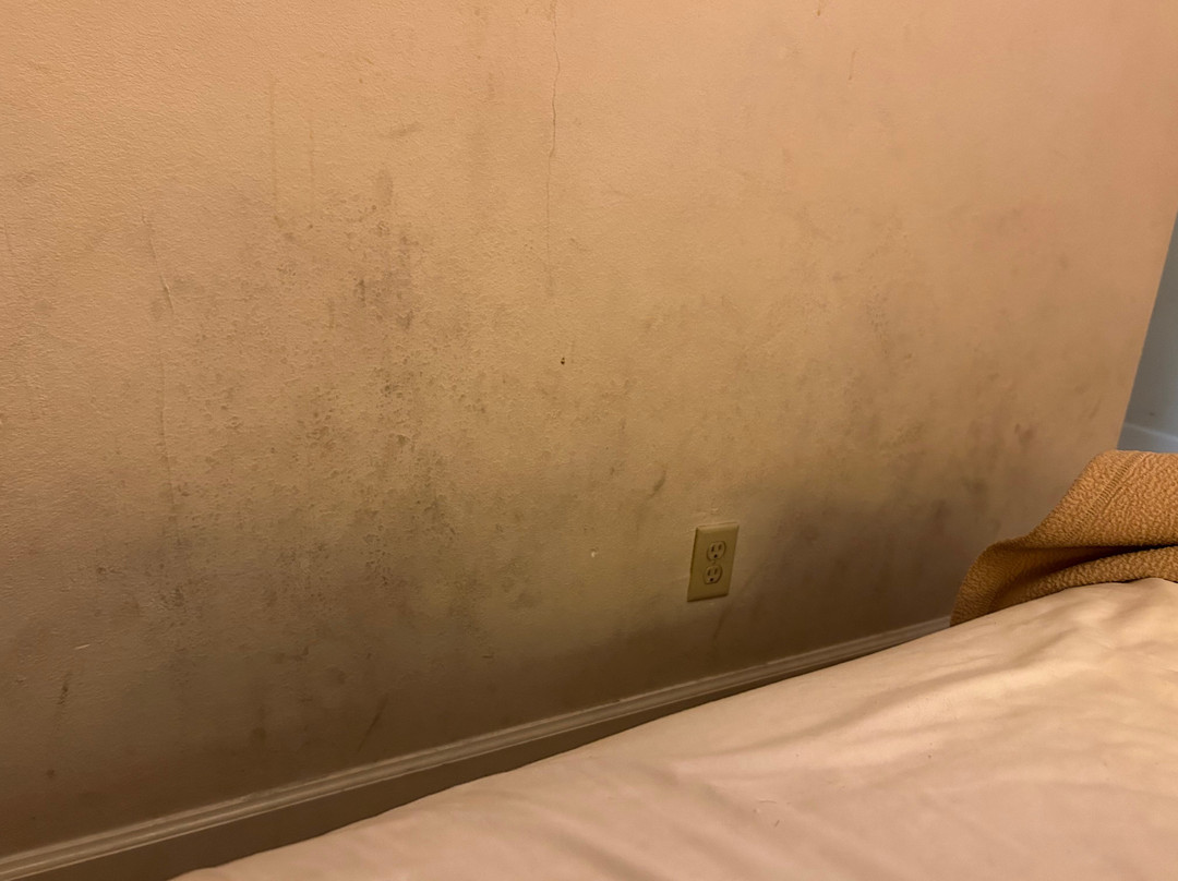 Red Roof Inn Tifton主图