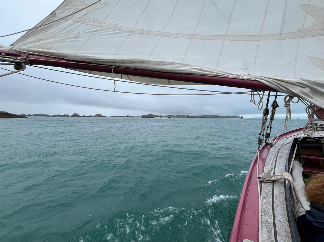 Voiles & Traditions-Paimpol必去景点
