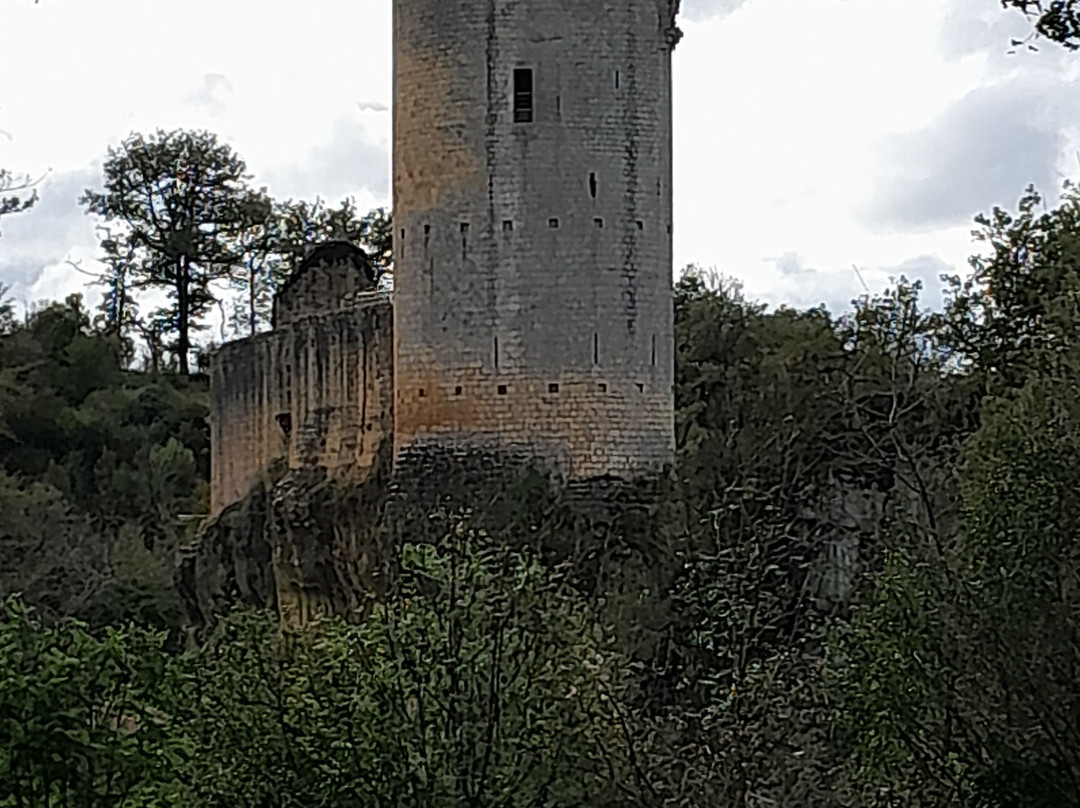 Château De Gavaudun景点图片