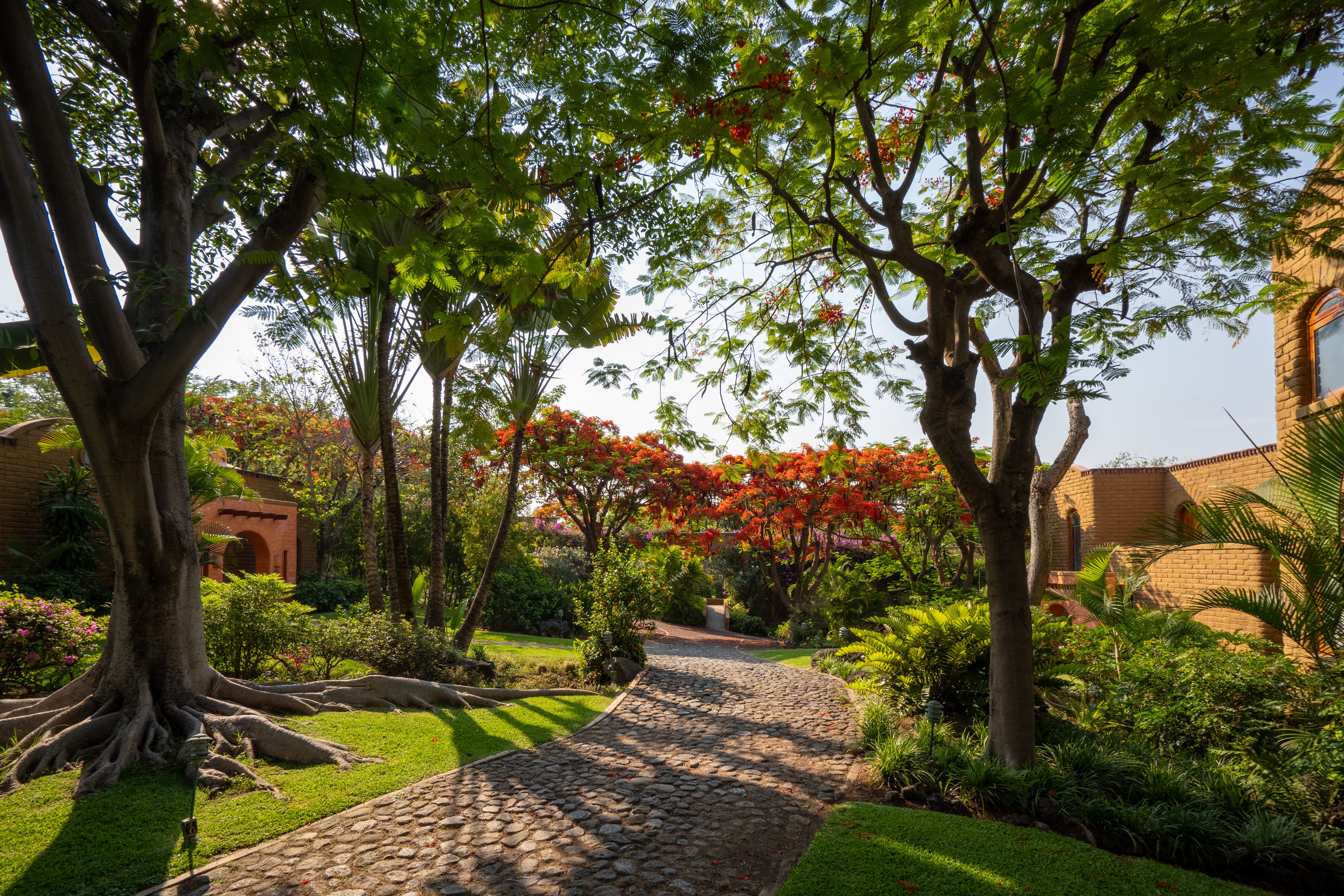 Misión Del Sol Resort & Spa-家庭/游戏区